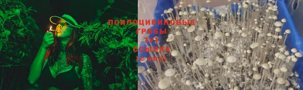 прущая мука Заволжск