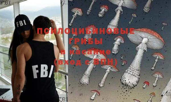 гидропоника Заводоуковск