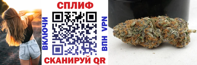 Бошки Шишки Amnesia  Купить где  Нерюнгри 